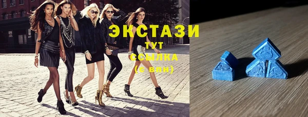 ECSTASY Алзамай