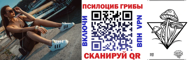 Галлюциногенные грибы Magic Shrooms  Тогучин 